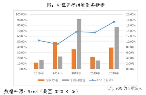 中国医疗集团投资分析与展望