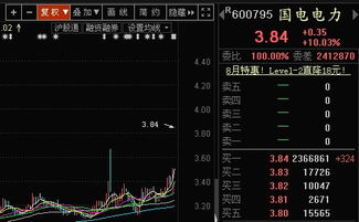 国电电力股票，投资机会与风险解析