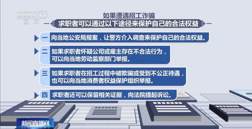 揭秘超8亿网络招聘诈骗案，守护求职者的权益