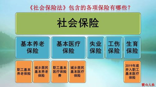 掌握未来，如何使用社会养老保险计算器规划养老生活