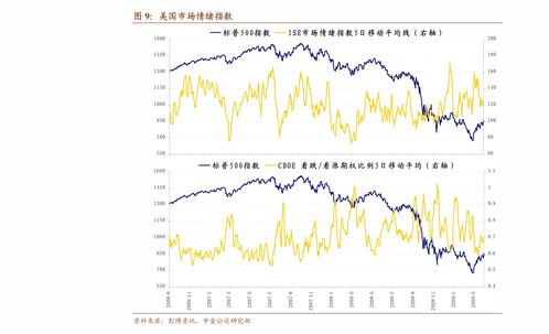 解密000877股票，一个可能改变你投资组合的小巨人