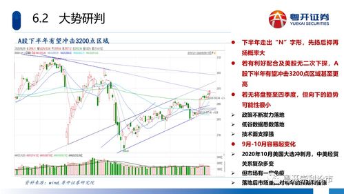 深入解读000659股吧，股票投资的智慧与策略