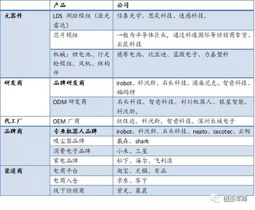 深入剖析与投资价值