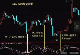 深入了解002566股票，从基础到进阶的投资指南