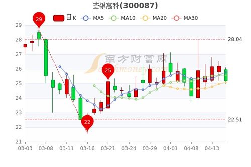 荃银高科股票投资分析