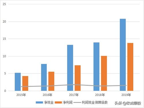 投资潜力与市场表现的全面解析