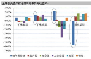 投资价值与风险分析