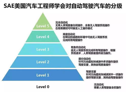 员工班车事故背后，职场道德与责任思考