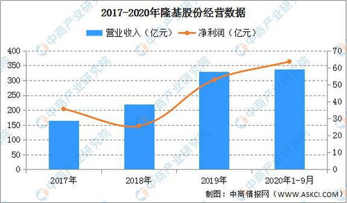 投资前景与深度分析