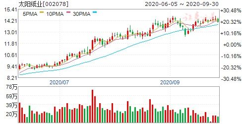 深入解析太阳纸业股票，投资机会与风险评估