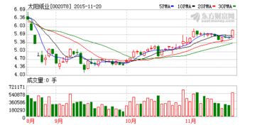 深入解析太阳纸业股票，投资机会与风险评估