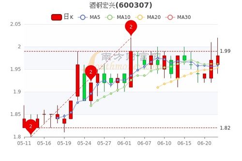 深入解析股票600307—酒钢宏兴的投资价值与风险分析