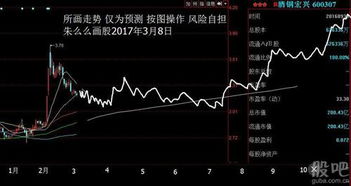 深入解析股票600307—酒钢宏兴的投资价值与风险分析