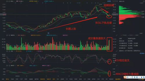 深入解析002078股票—太阳纸业的投资价值与风险评估