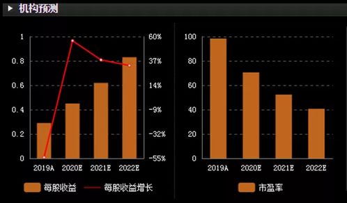 深入解析300046股票，潜力与风险并存的投资选择