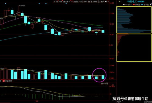 深入解析300046股票，潜力与风险并存的投资选择