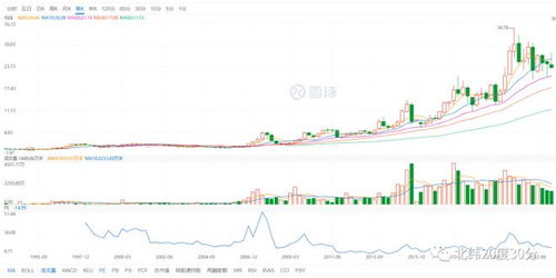 000938股票深度分析，投资潜力与风险评估