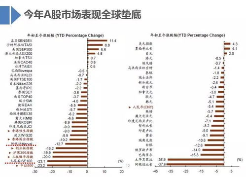 深度解析大同煤业股票，投资机遇与风险评估