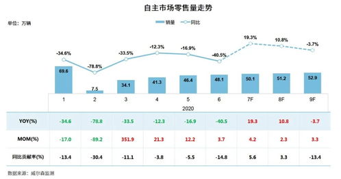 长江投资的基本情况与市场定位